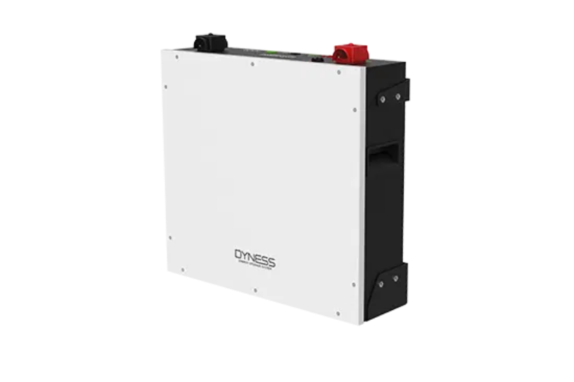 Dyness batterij